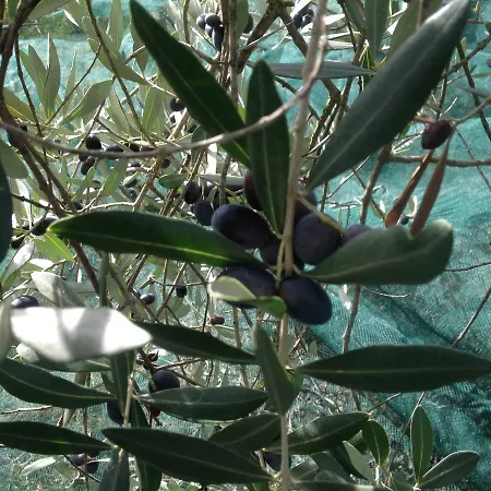 Toscana - Montepulciano Stazione